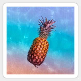 Rainbow Floating Pineapple Sticker